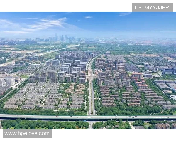 杭州乒乓球队中路突破革新引领乒乓新潮流的深度分析与展望