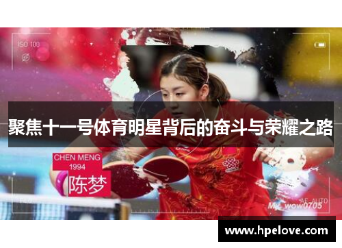 聚焦十一号体育明星背后的奋斗与荣耀之路
