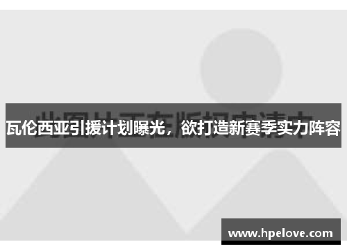瓦伦西亚引援计划曝光，欲打造新赛季实力阵容